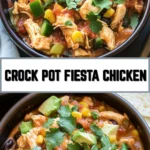 Crock Pot Fiesta Chicken 21 Pinterest Hidden Image