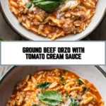 Ground Beef Orzo with Tomato Cream Sauce 20 Pinterest Hidden Image