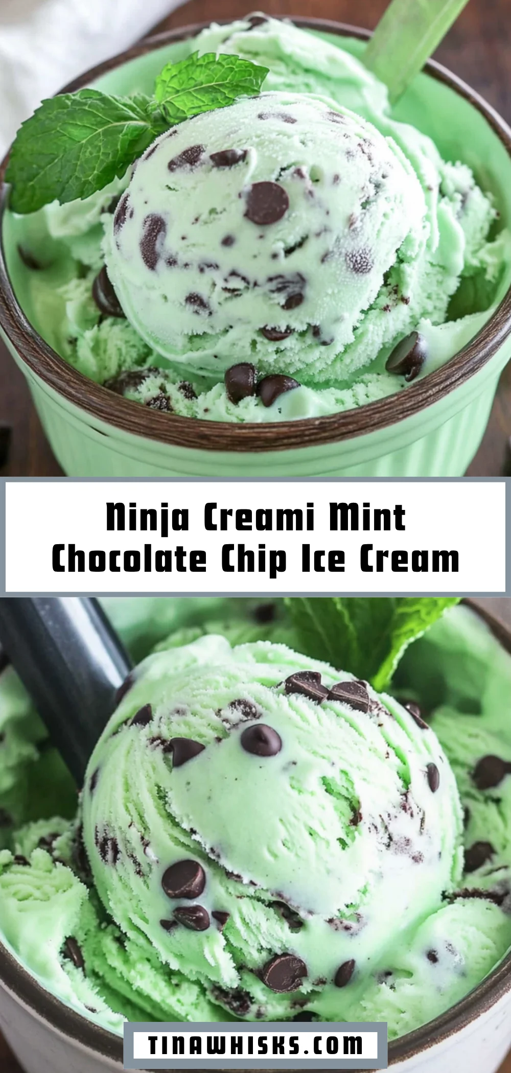 Ninja Creami Mint Chocolate Chip Ice Cream 17 Pinterest Hidden Image