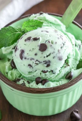 Ninja Creami Mint Chocolate Chip Ice Cream 29 Ninja Creami Mint Chocolate Chip Ice Cream