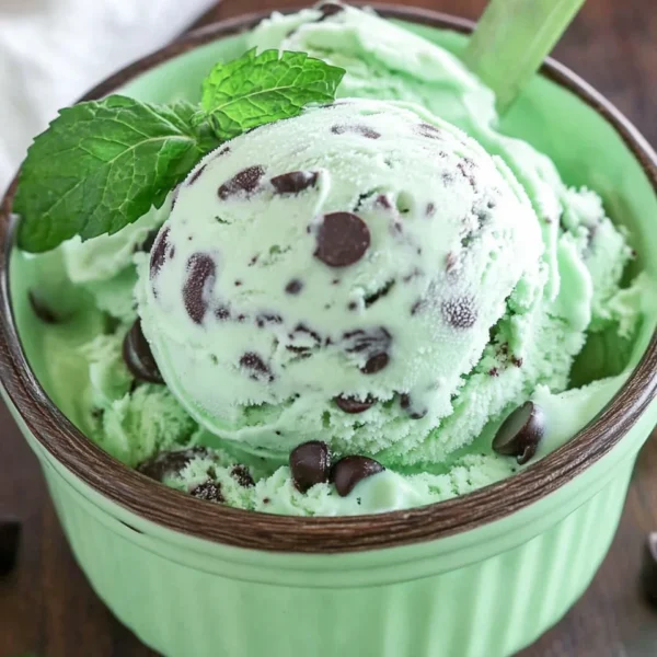 Ninja Creami Mint Chocolate Chip Ice Cream