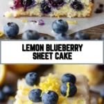 Lemon Blueberry Sheet Cake 21 Pinterest Hidden Image